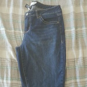 Torrid Denim Skinny Jeans